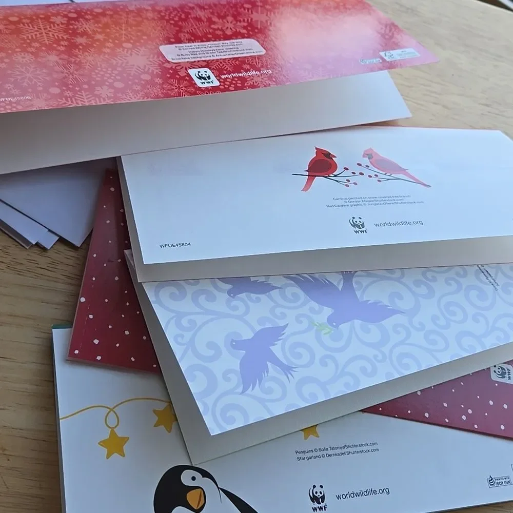 Festive Holiday Cards Red Green White Seasons Unisex Christmas 5 Card Bundle